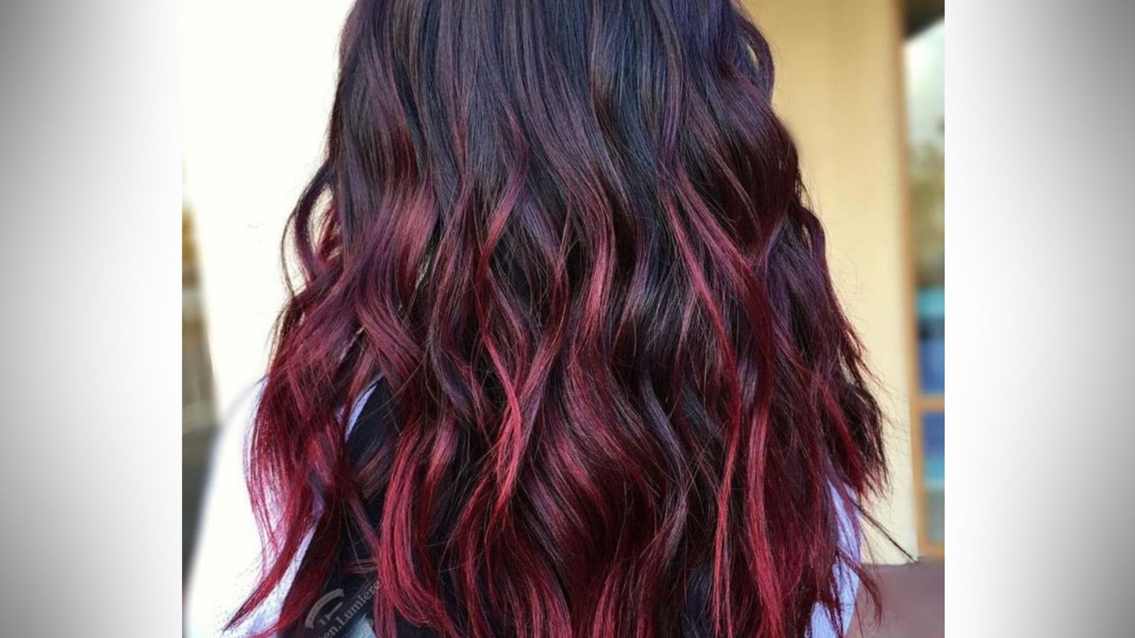 Burgundy or Wine Highlights