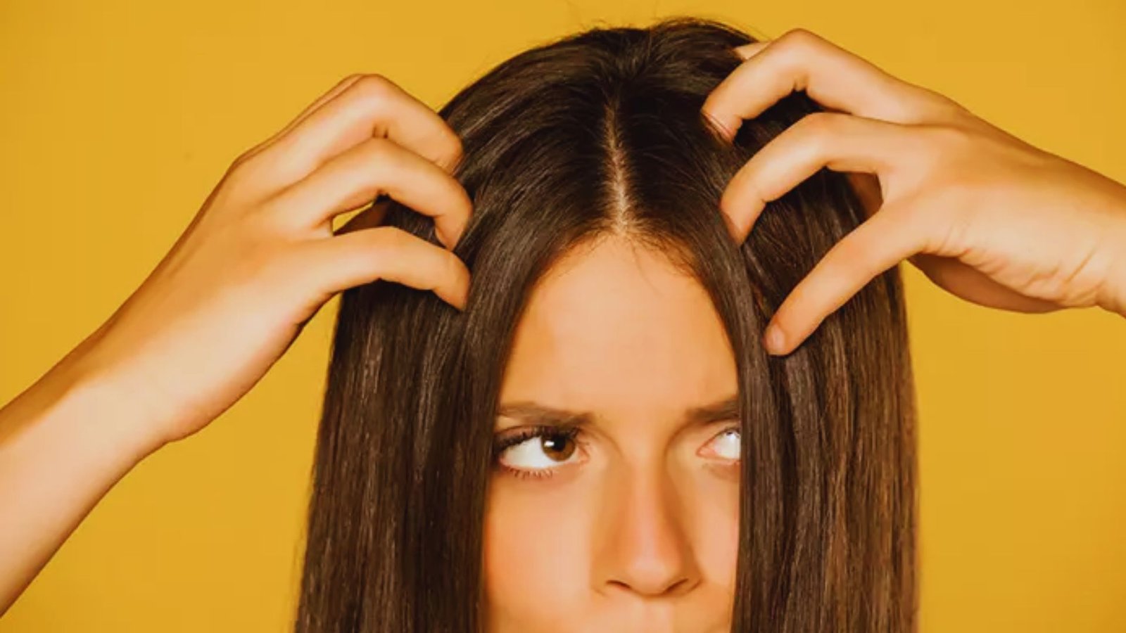 Understanding Hair Conditioners